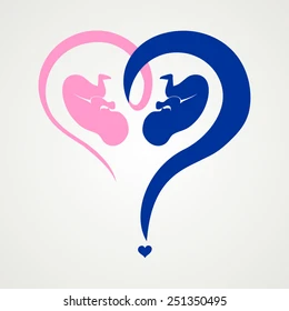 boy-or-girl-gender-reveal