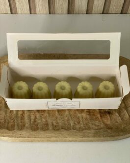 Coffret de fondants anti-moustique – Citronnelle, Géranium & Eucalyptus