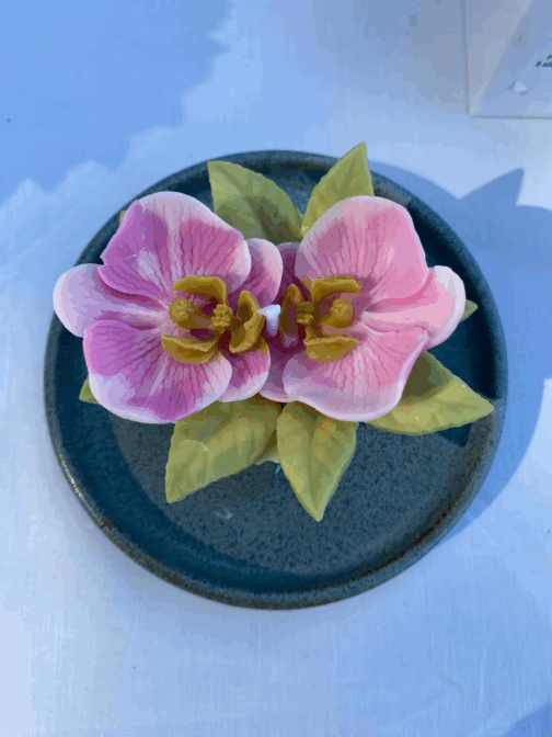 Orchidée Fleur de cerisier