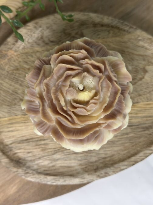 Pivoine - Musc Blanc