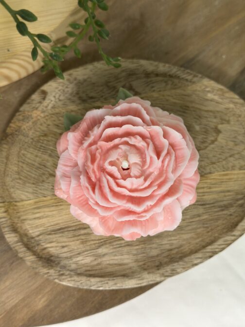 Pivoine - Fleur de cerisier