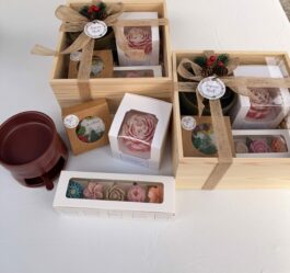 Coffret de Noël – Floraison Enchantée (Édition de Noël)